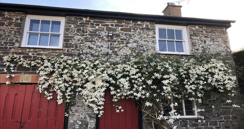 Image 11
