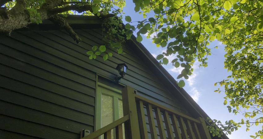 Image 13