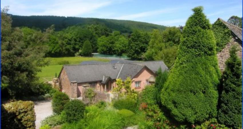 First Image