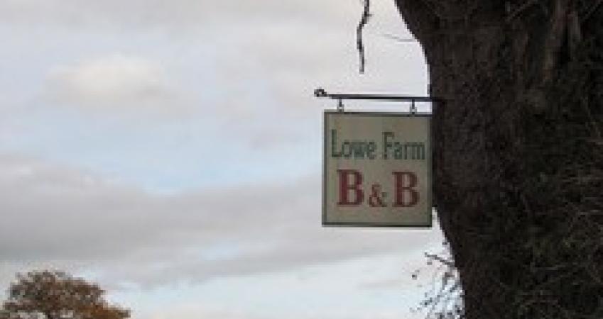 Image 14