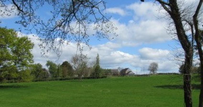 Image 15
