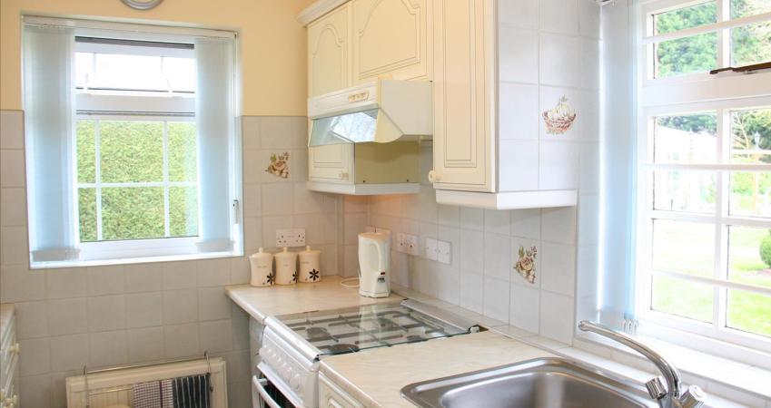 Second Image