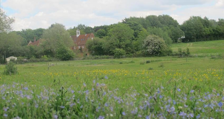 Image 14