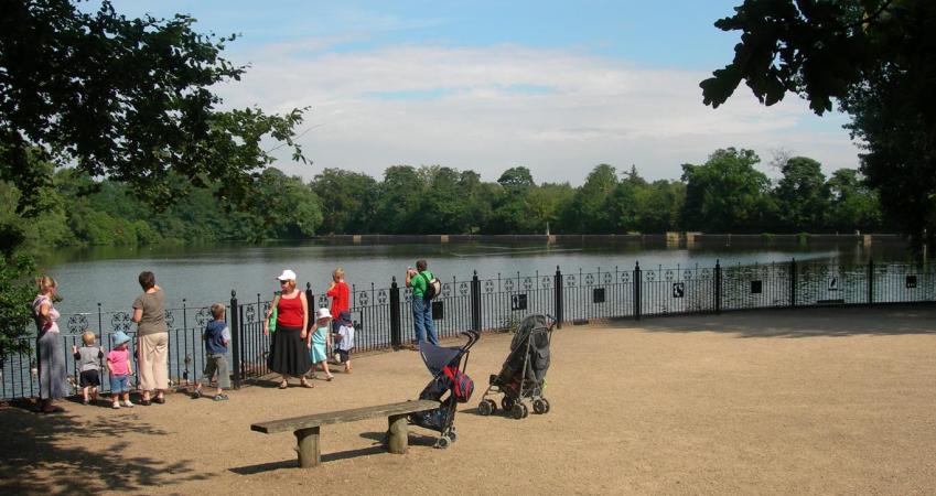 Second Image
