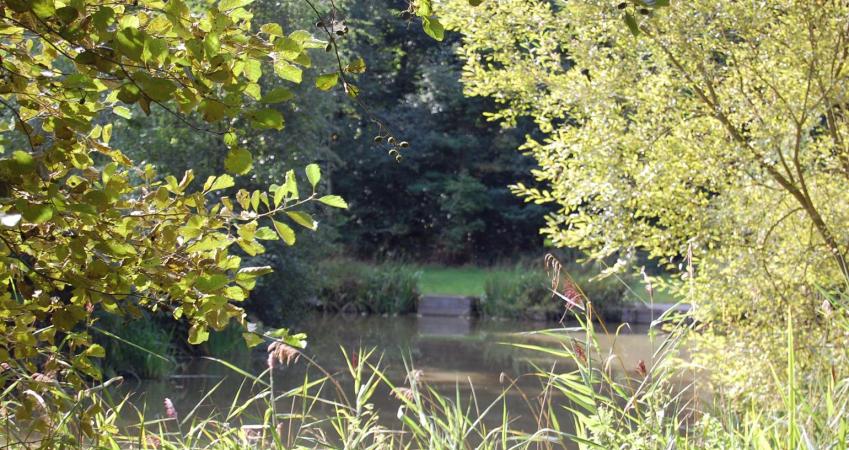 Image 14