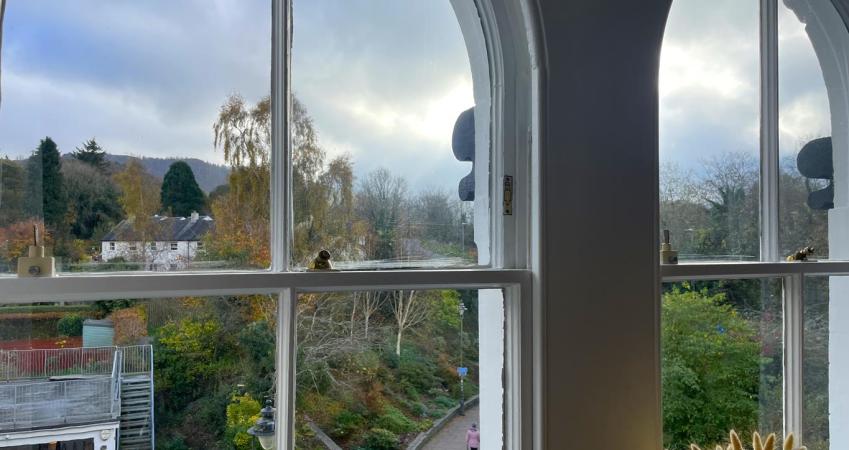 Image 6