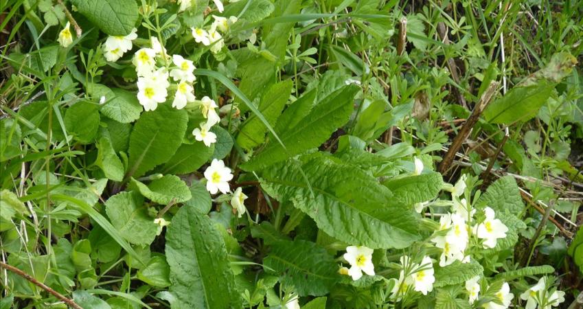 Image 17