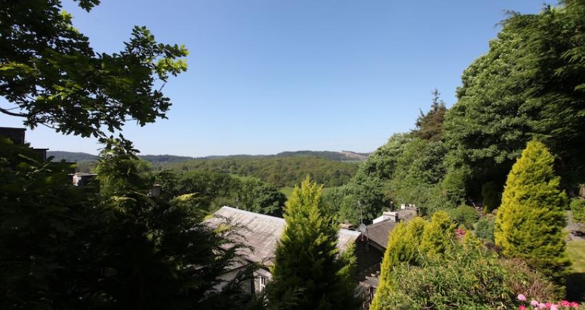 Image 10