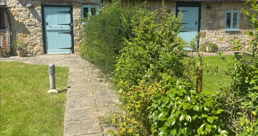 Image 15
