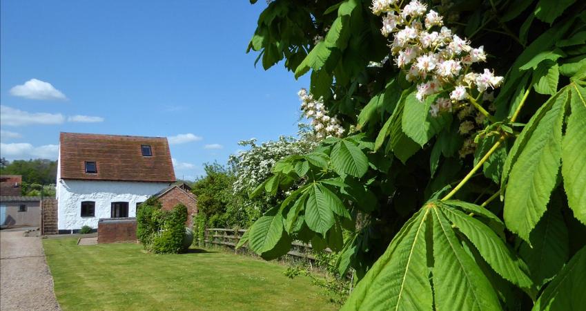 Image 15