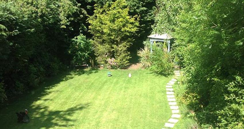 Image 5
