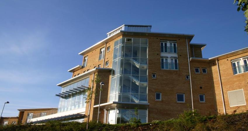 Second Image