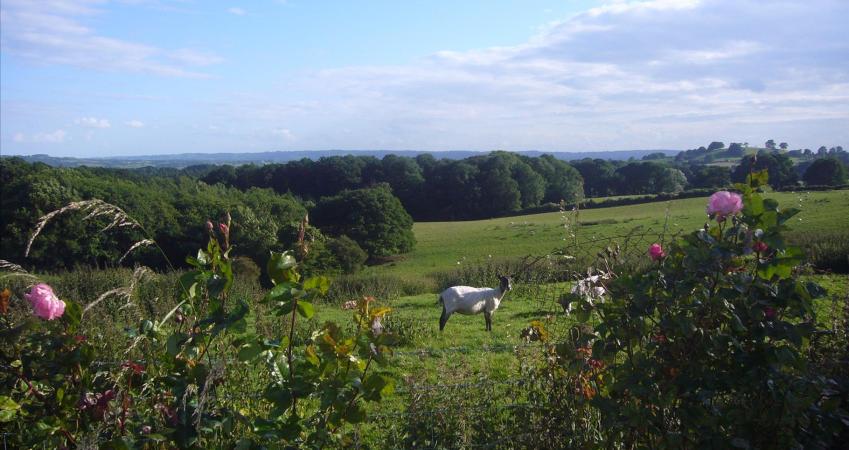 Image 14