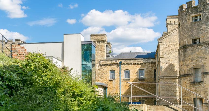Image 15