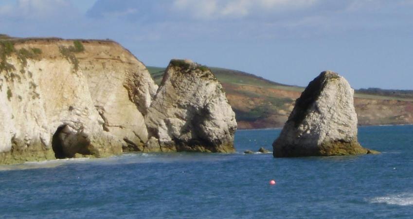 Image 5