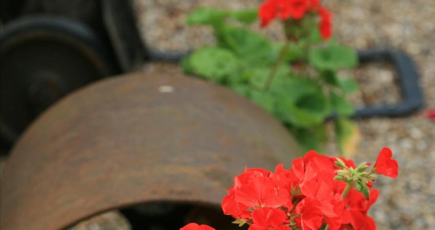 Image 17