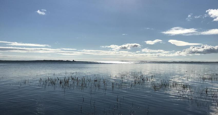 Image 14