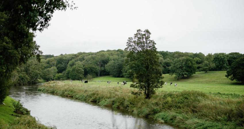 Image 19