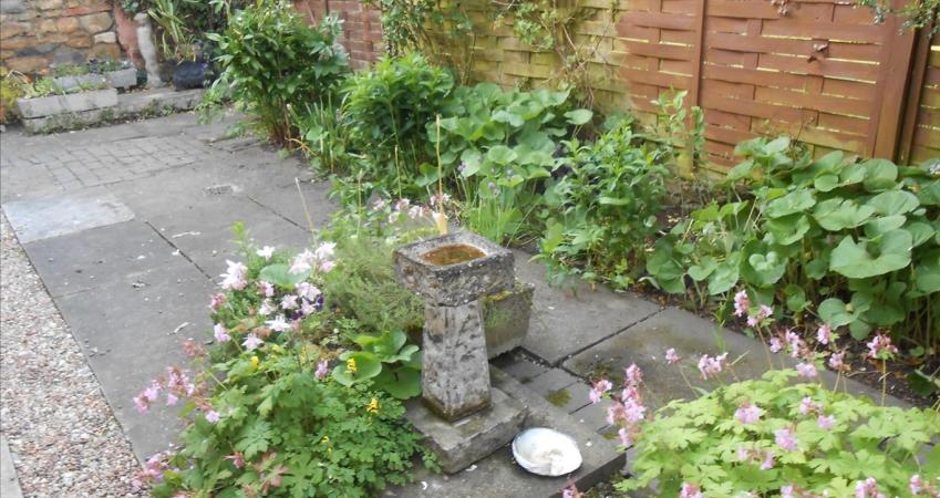 Image 8