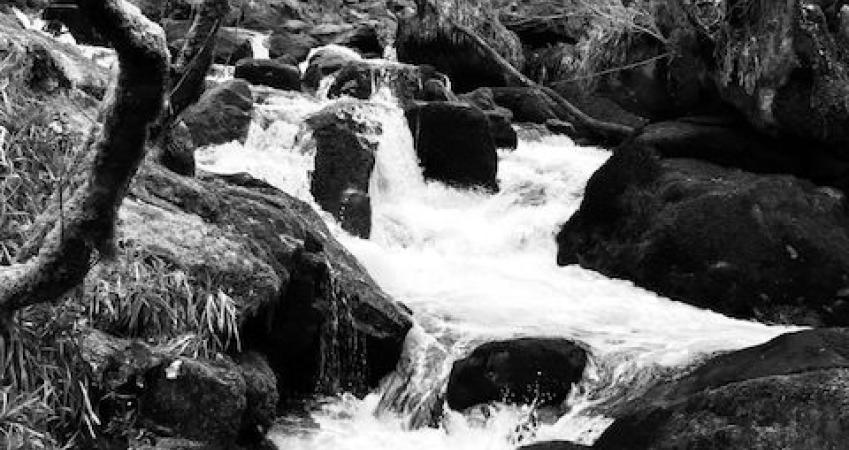 Image 14