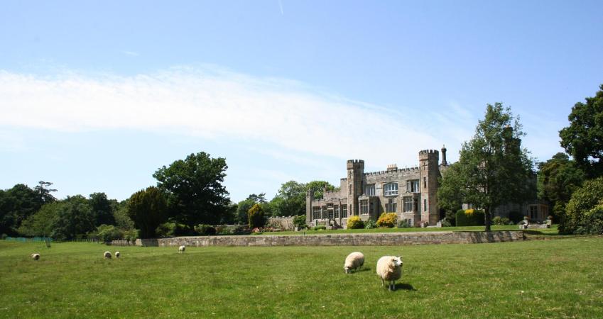 Image 10
