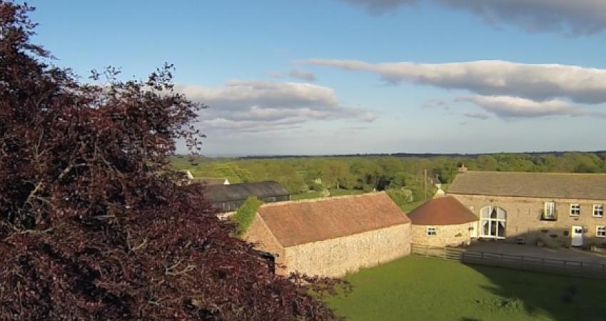 Second Image