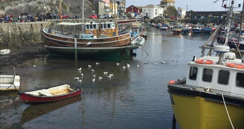 Image 7