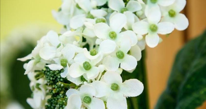 Image 17