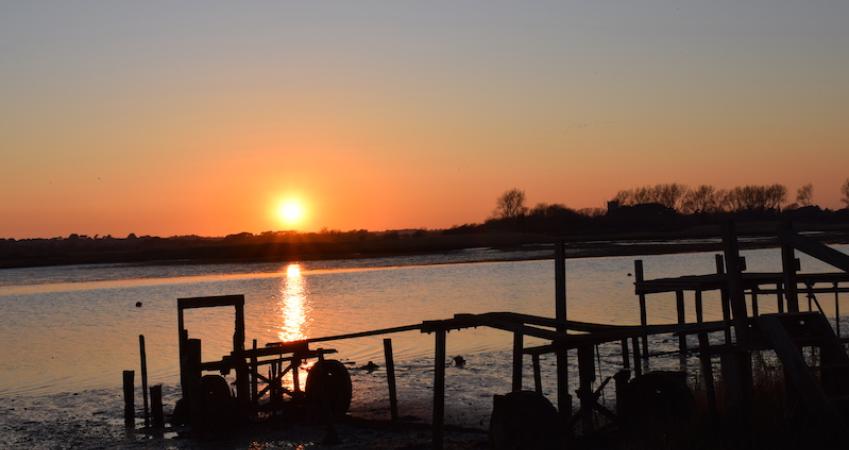 Image 17