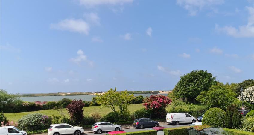 Image 12