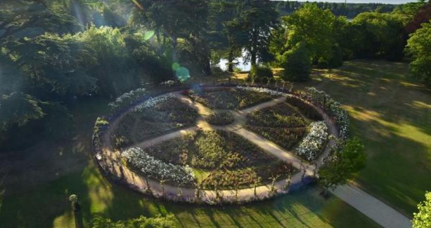Image 13