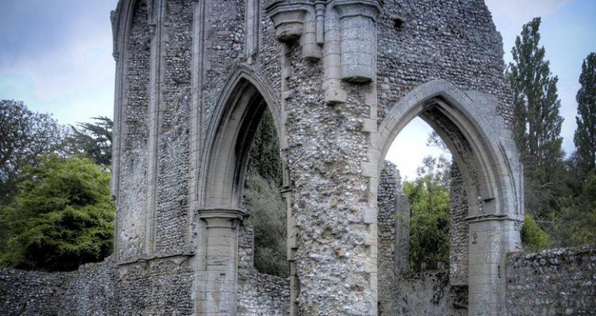 Image 12