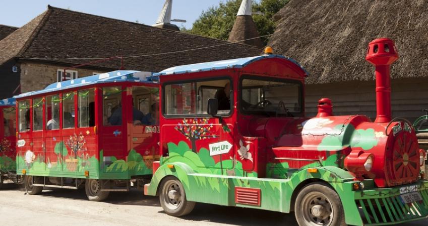 Second Image