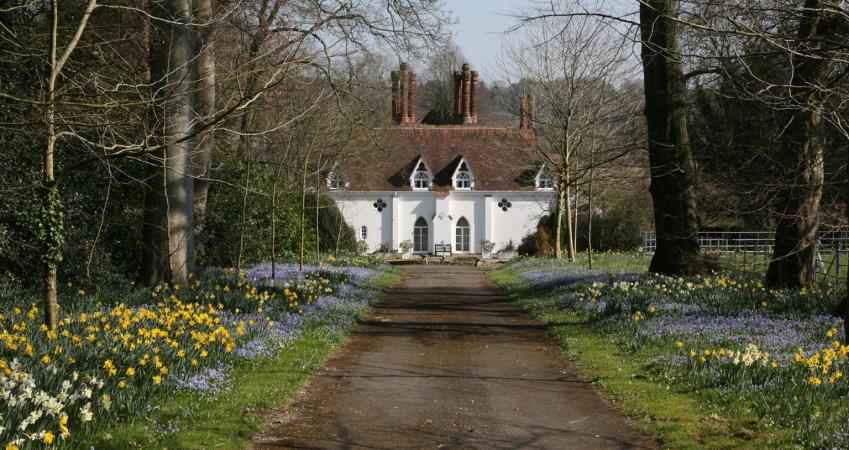 Image 5
