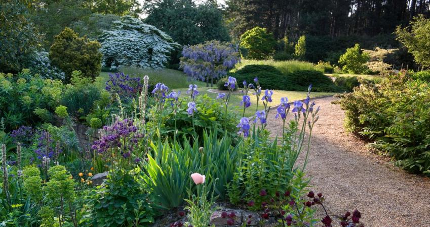 First Image