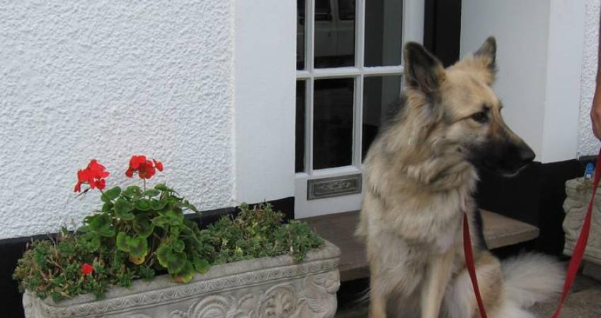 Image 16