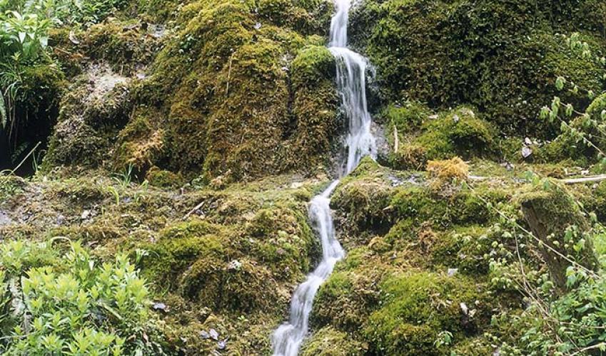Second Image