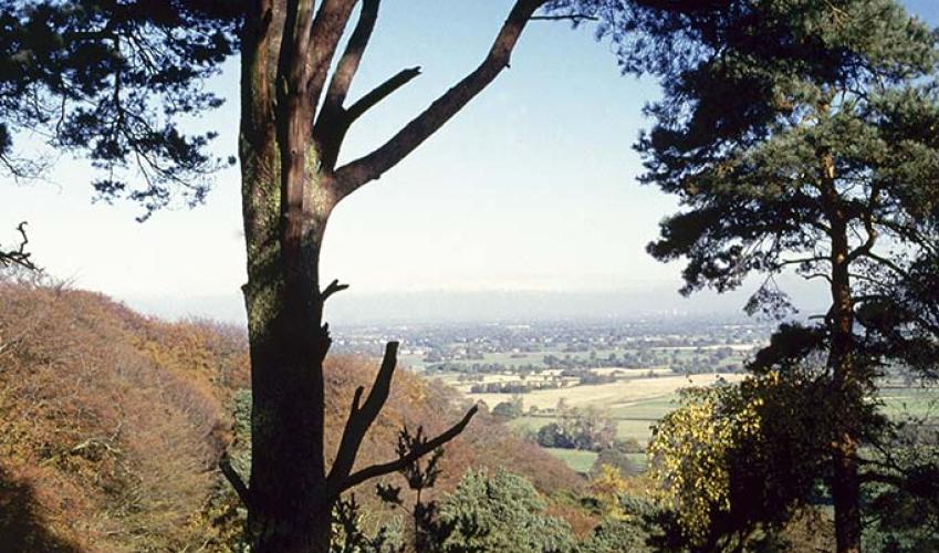 Second Image