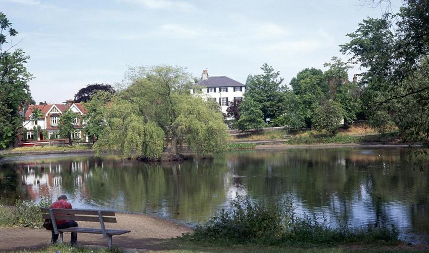 Second Image