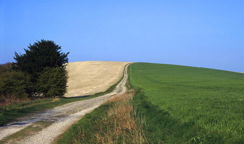 Second Image