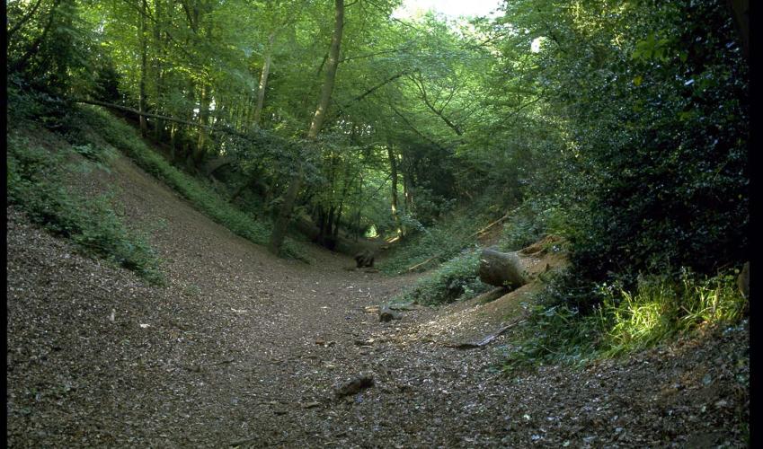 Second Image