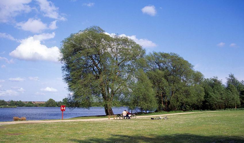 Second Image