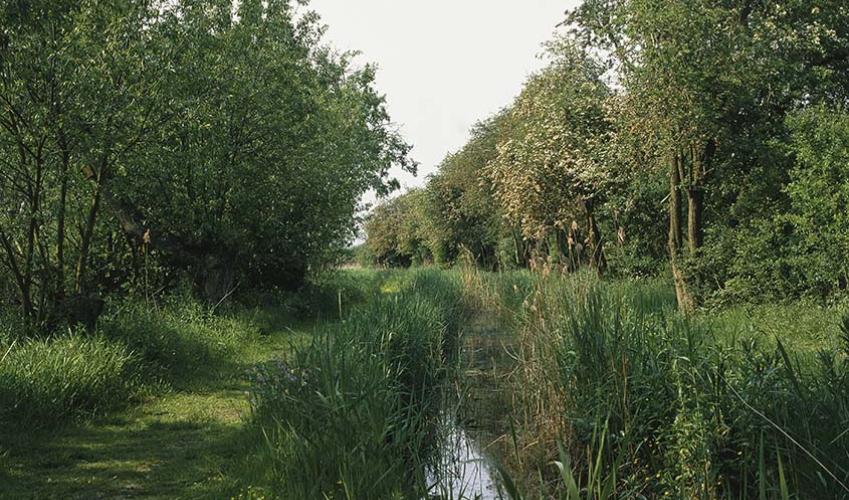 Second Image
