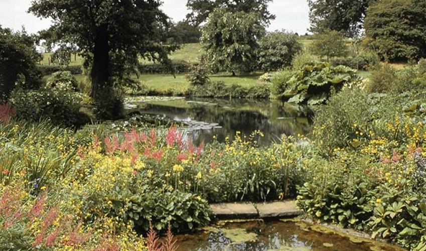 Second Image