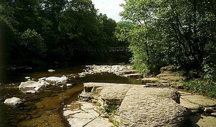 Second Image