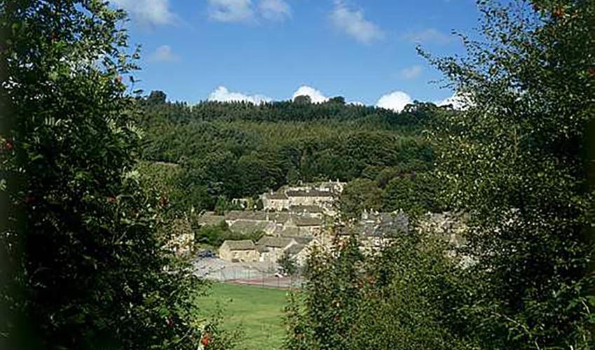 Image 4