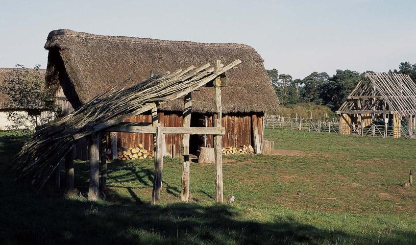 Second Image