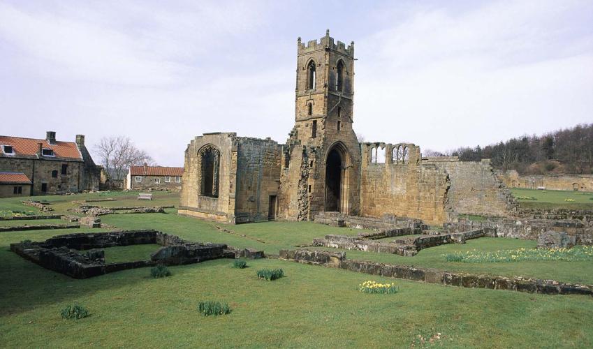 Second Image