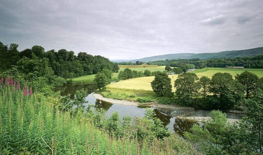 Second Image