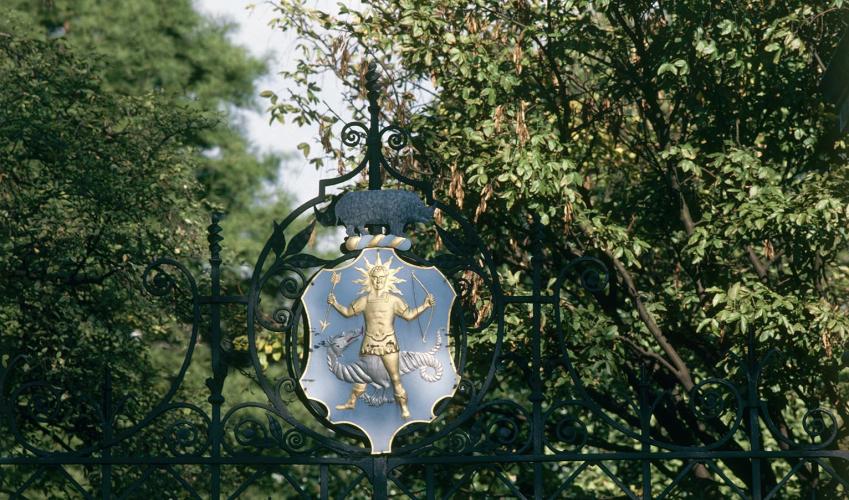 Second Image